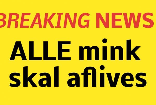 Mette Frederiksen: ''ALLE mink skal aflives''