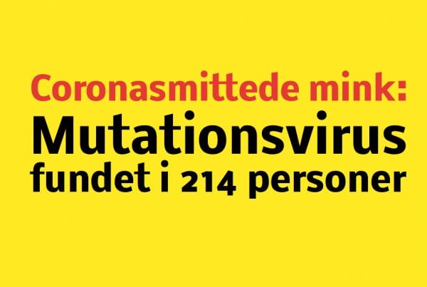 214 personer smittet med mutationsvirus fra mink