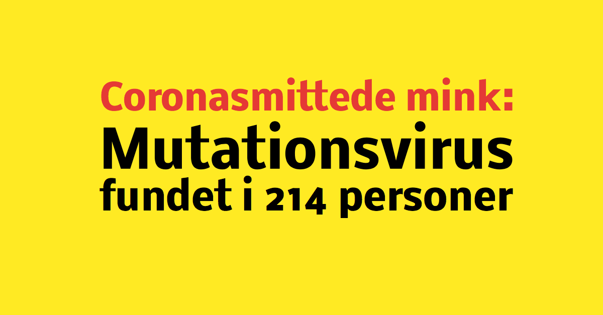 214 personer smittet med mutationsvirus fra mink