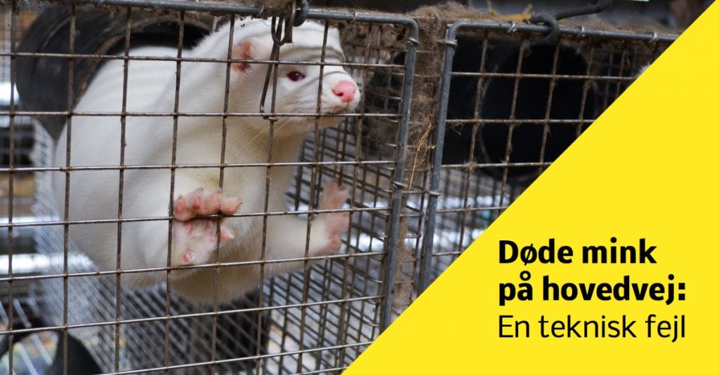 Teknisk fejl forårsagede tabte mink på hovedvej