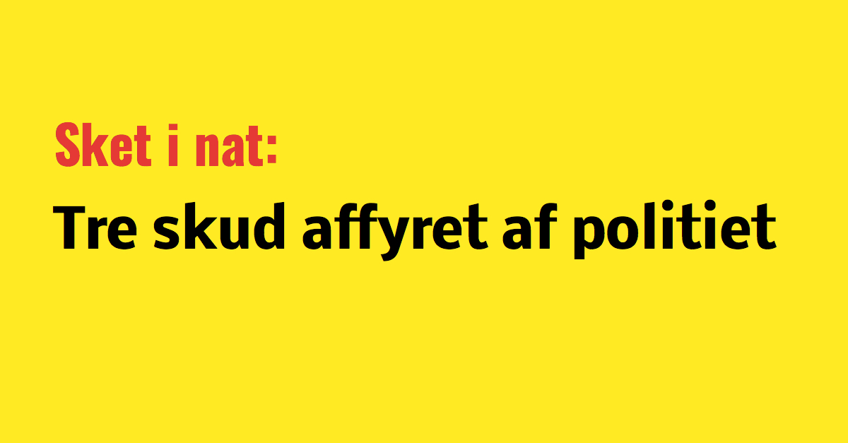 Politiet affyrede 3 skud i nat