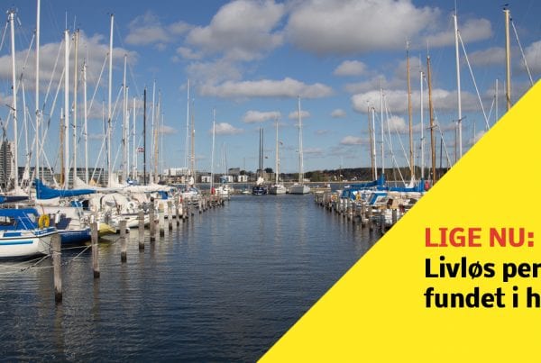 Livløs person fundet i havn