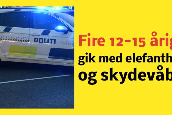 12-15 årige gik med elefanthuer og skydevåben