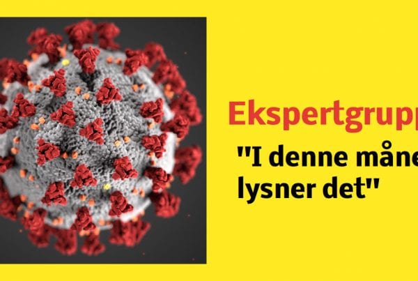 Ekspertgruppe: ''I denne måned lysner det for alvor''