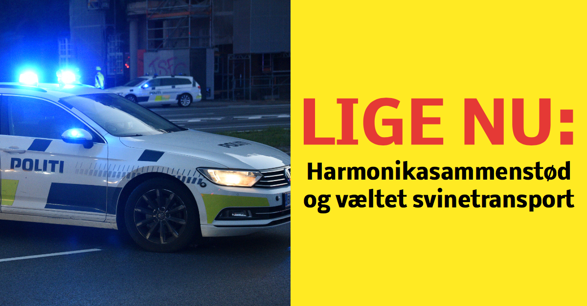 LIGE NU: Helt afspærret - Harmonikasammenstød og væltet svinetransport