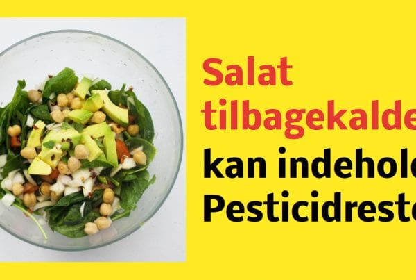 Salat tilbagekaldes - kan indeholde Pesticidrester