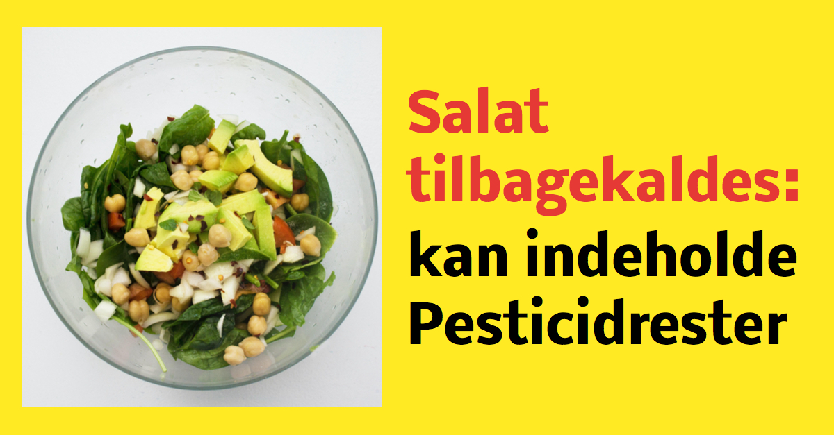 Salat tilbagekaldes - kan indeholde Pesticidrester