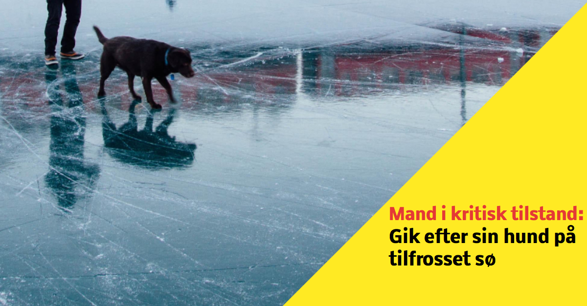 Mand i kritisk tilstand - gik efter sin hund på tilfrosset sø