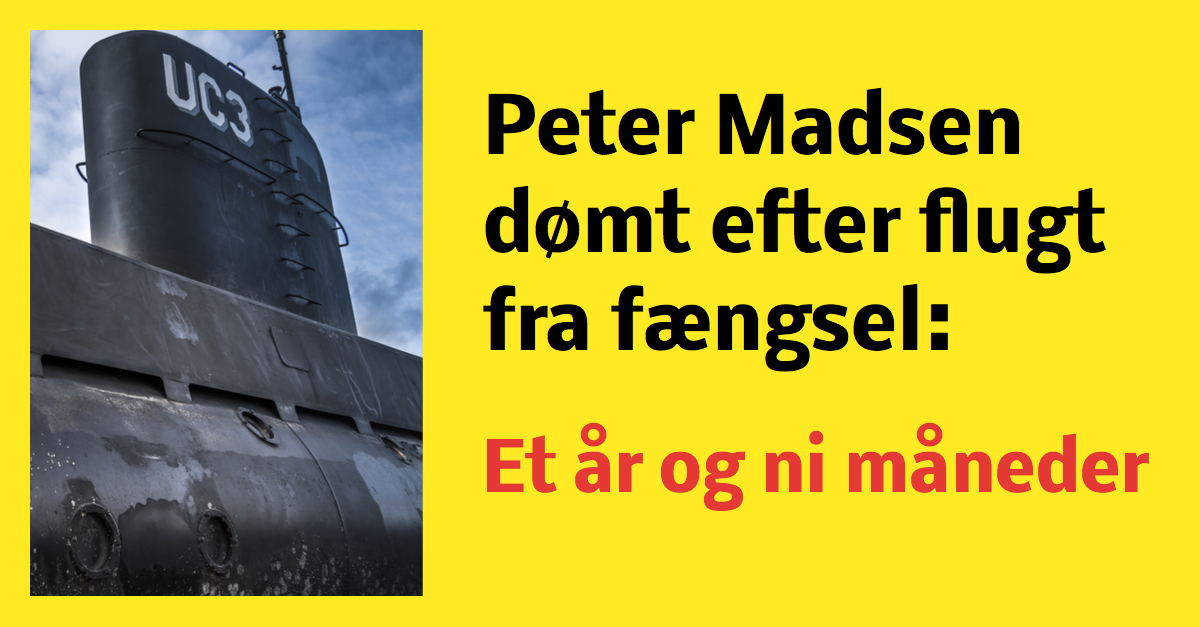 Peter Madsen får sin dom: Et år og ni måneder i fængsel