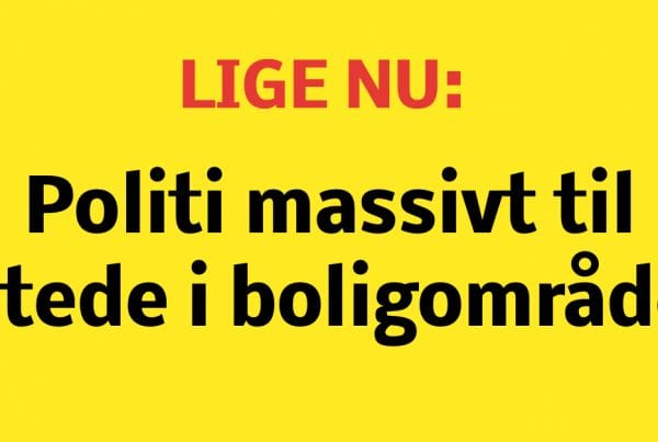 Stor politiaktion: massivt til stede i boligområde