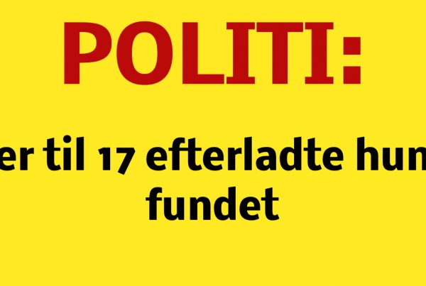 Politiet