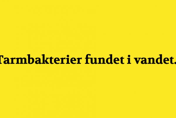 Tarmbakterier