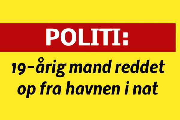19-årig