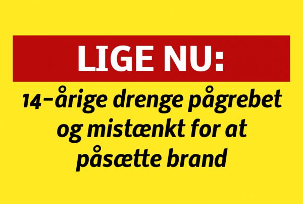 14-årige