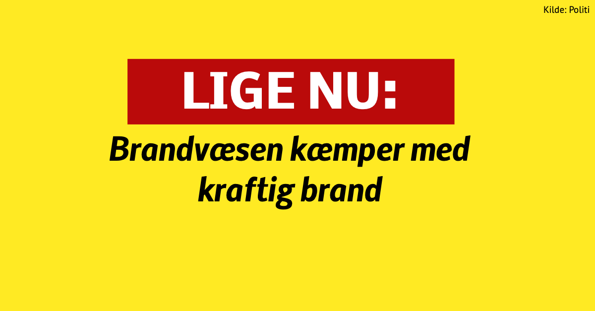 Brandvæsen