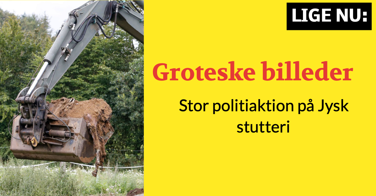 Groteske