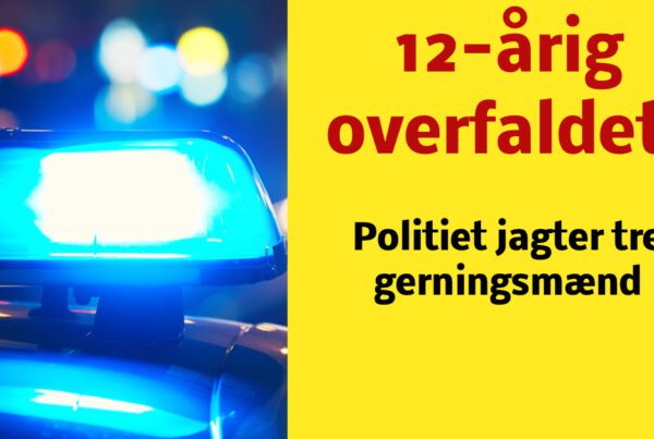 12-årig