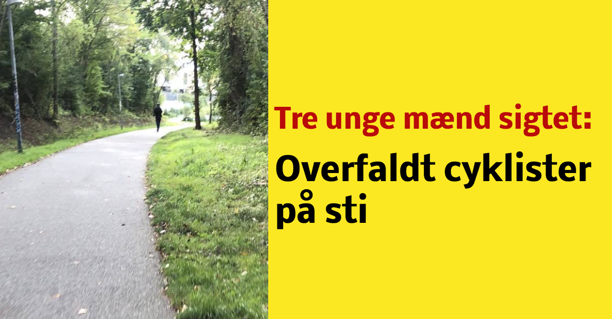 To cyklister overfaldet på sti - Tre personer anholdt