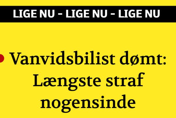 Vanvidsbilist dømt