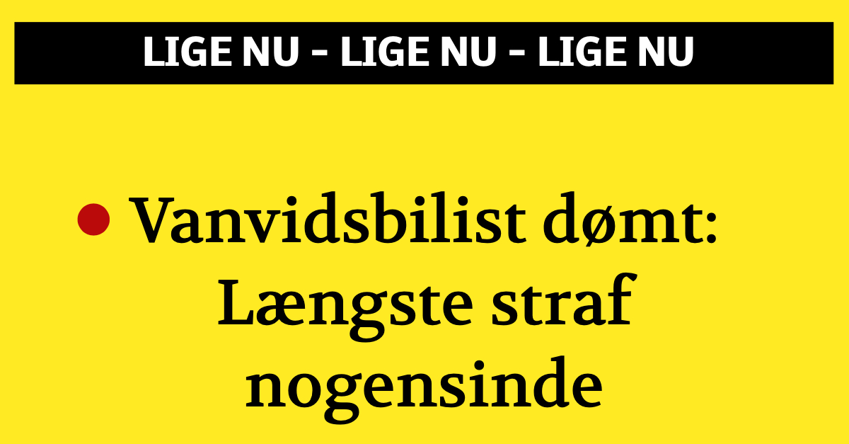 Vanvidsbilist dømt