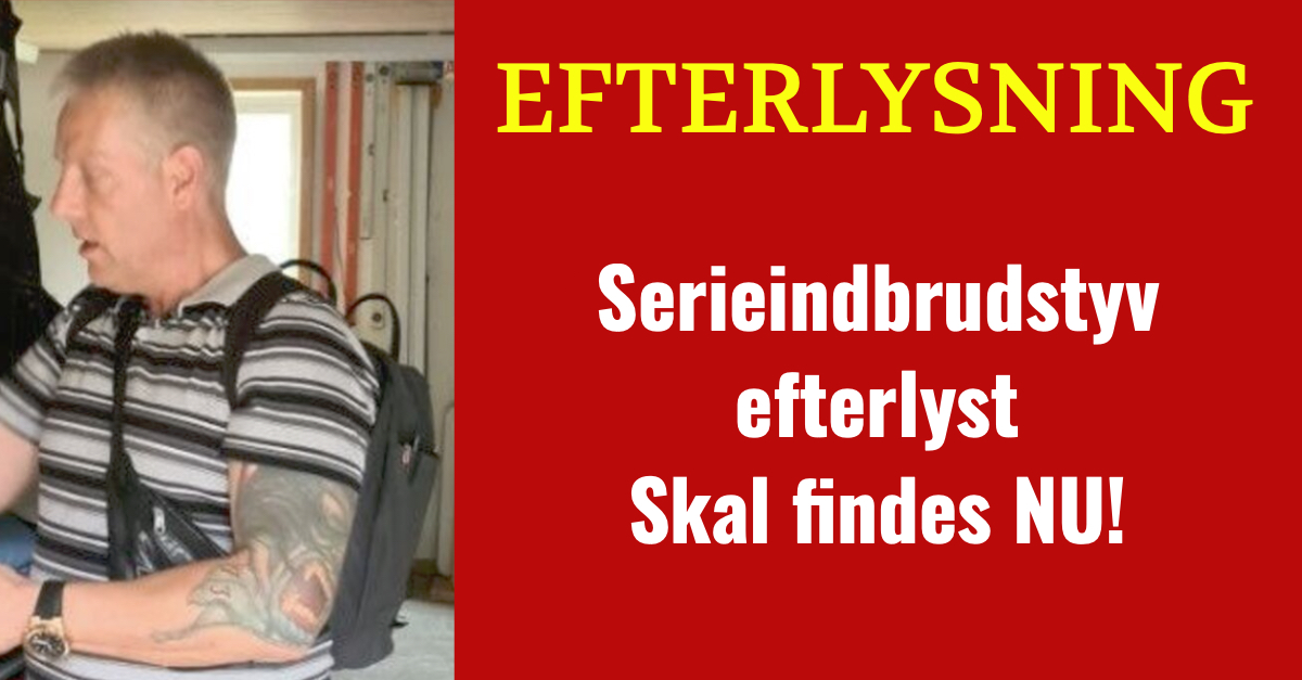 Serieindbrudstyv efterlyst