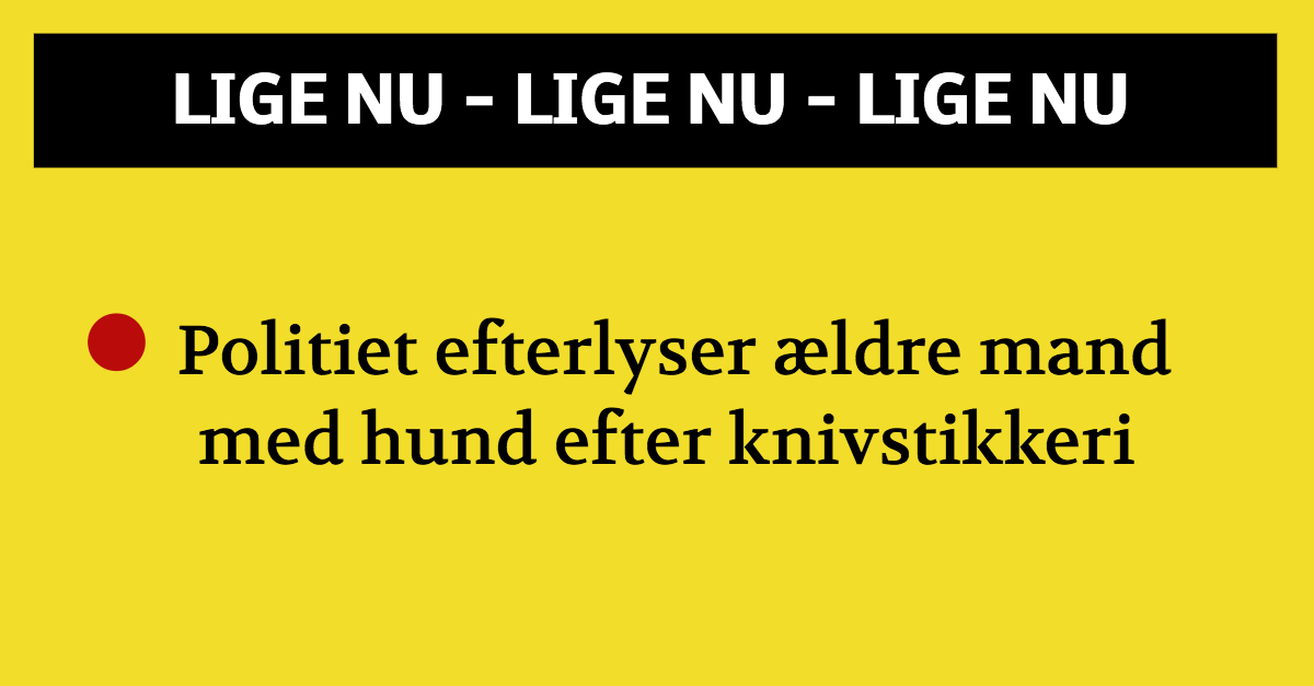 Politiet efterlyser ældre mand med hund efter knivstikkeri