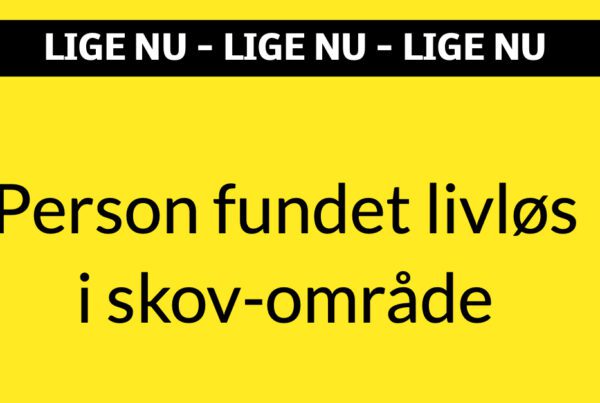 Person fundet livløs i skov-område