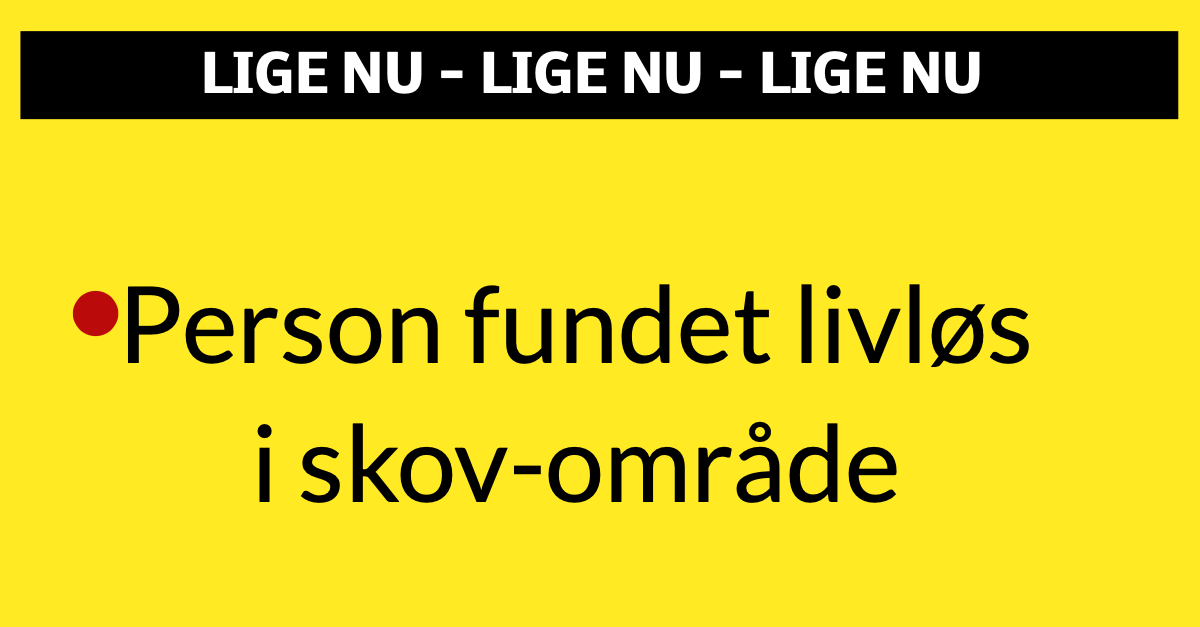 Person fundet livløs i skov-område