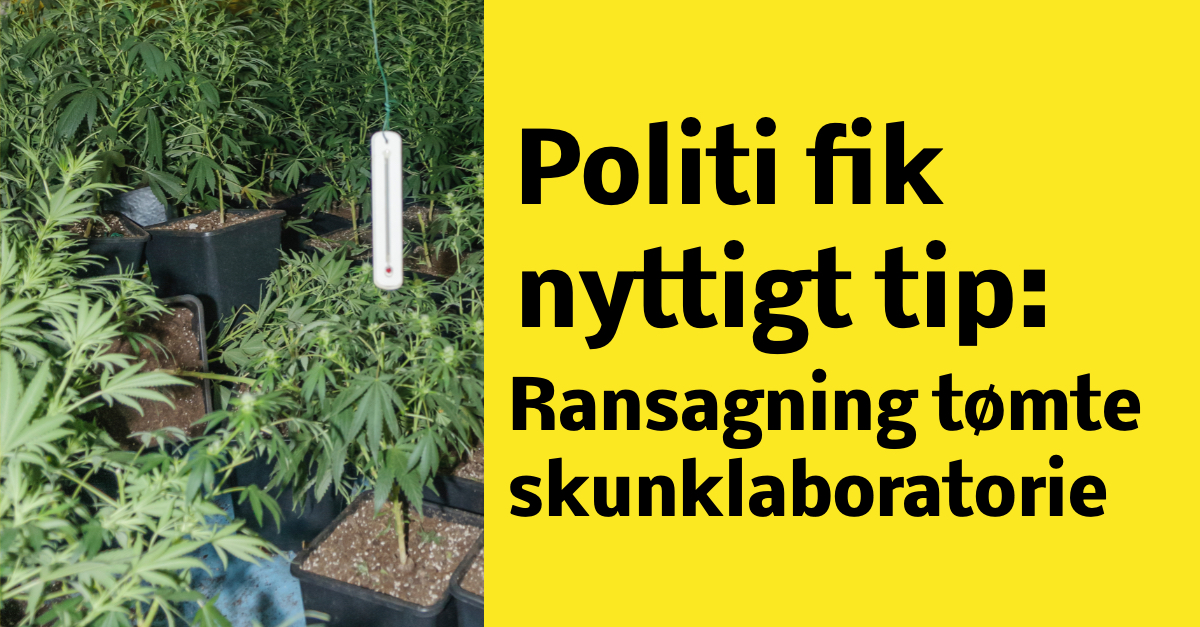 Politi fik nyttigt tip: Ransagning tømte skunklaboratorie