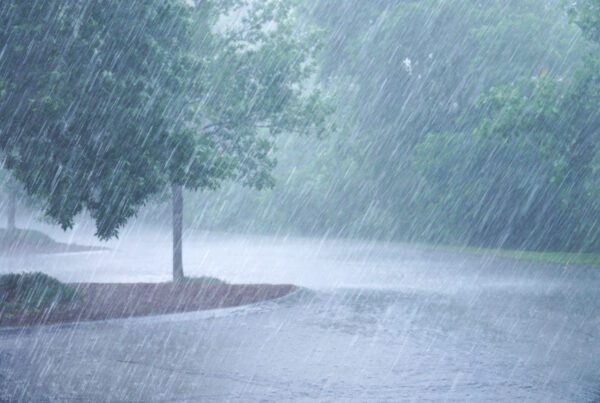 DMI med nyt varsel: Her rammer kraftig regn