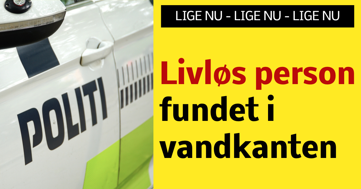 Lige Nu Livløs Person Fundet I Vandkanten Nyhed24dk 