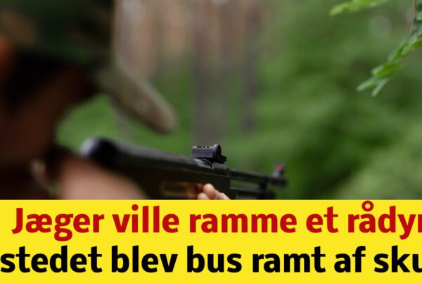 Jæger ville ramme rådyr - i stedet blev bus ramt af skud