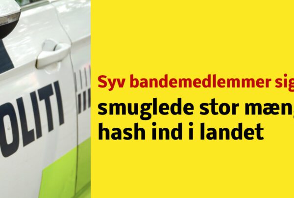 Syv bandemedlemmer sigtet