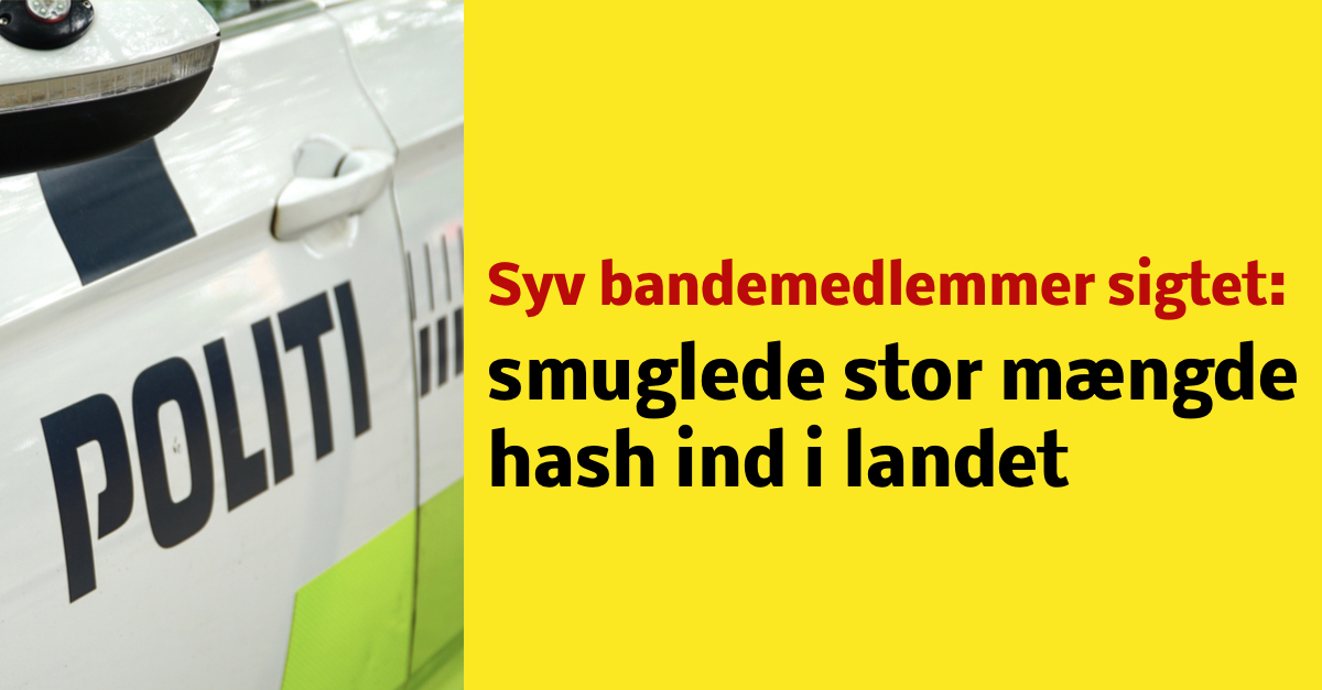 Syv bandemedlemmer sigtet