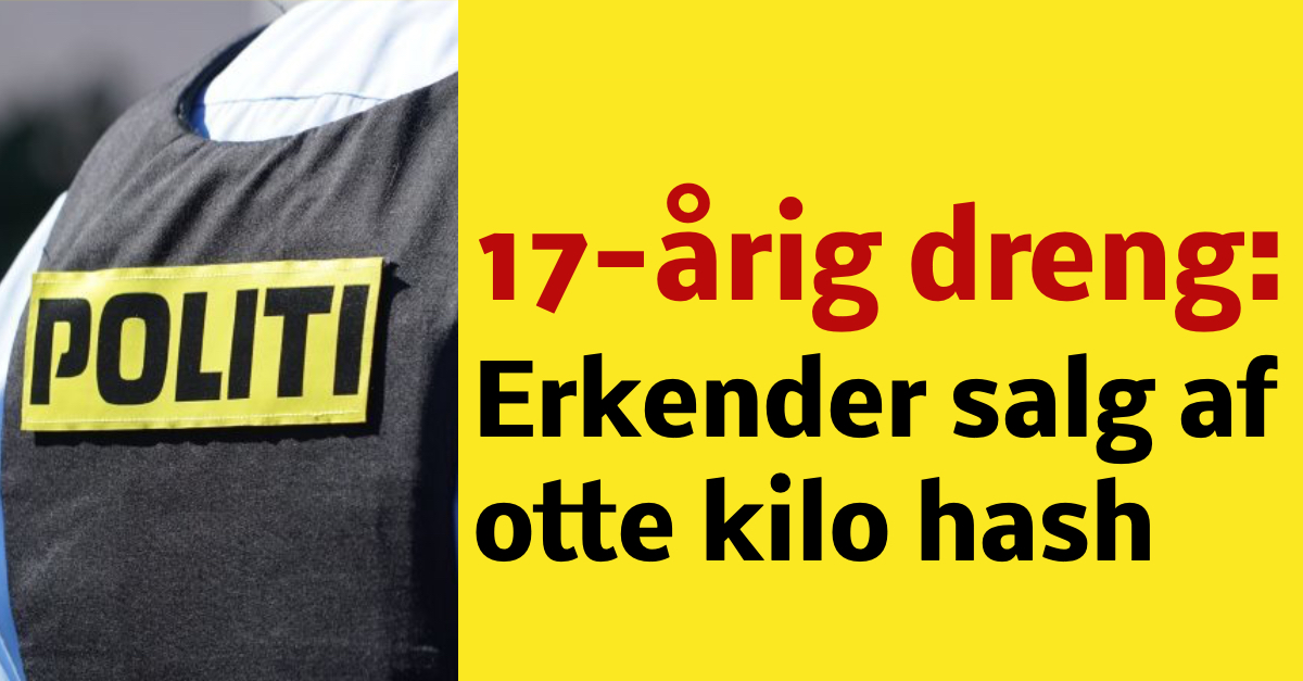 17-årig dreng erkender salg af otte kilo hash