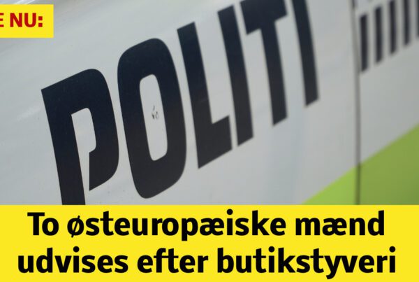 To østeuropæiske mænd udvises efter butikstyveri