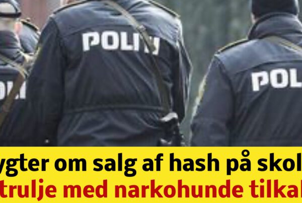 Rygter om salg af hash på skole: Patrulje med narkohunde tilkaldt