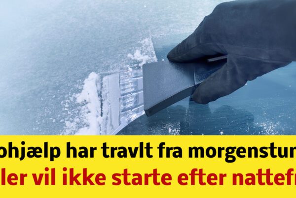 - Biler vil ikke starte efter nattefrost