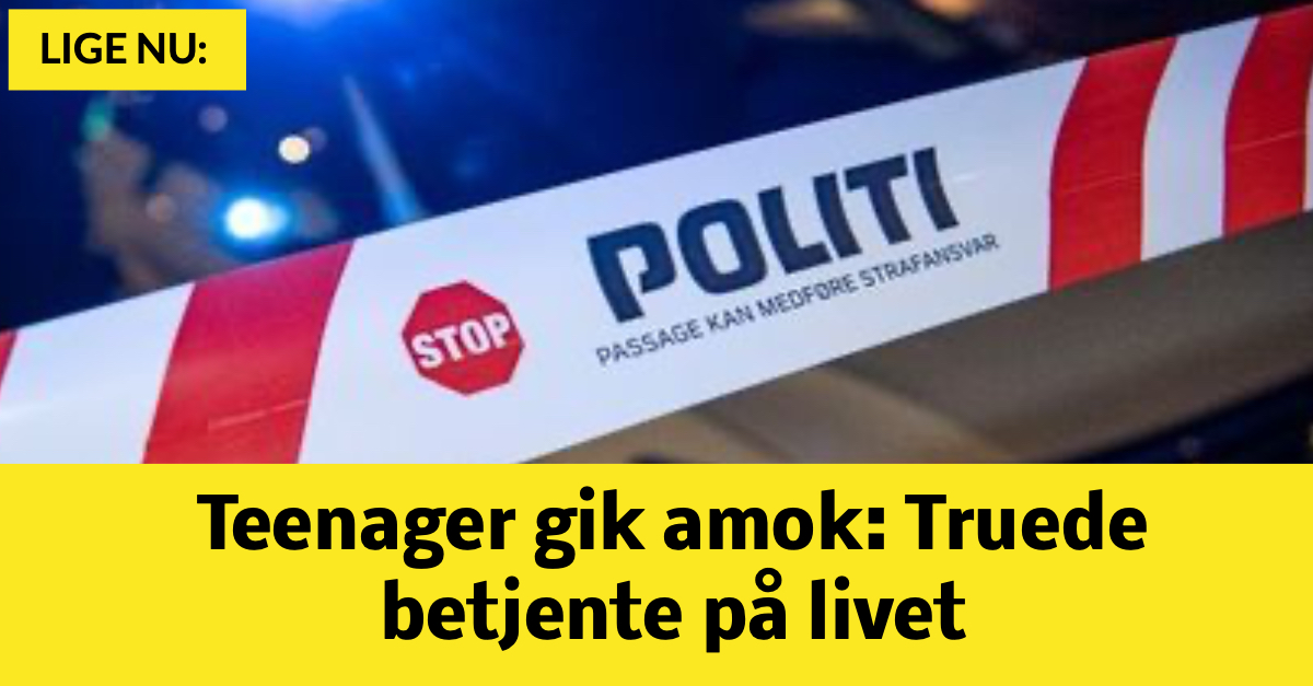 Teenager gik amok: Truede betjente på livet