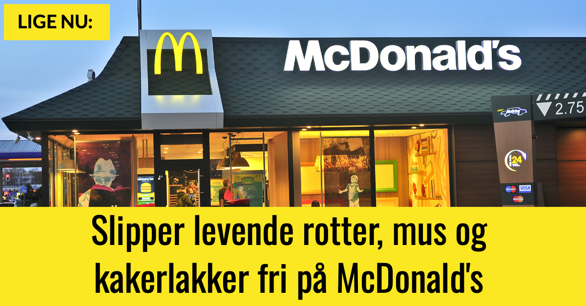 Lukker restauranterne: Gerningsmænd slipper levende rotter, mus og kakerlakker fri