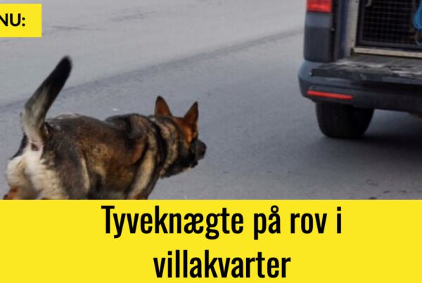 Tyveknægte på rov i villakvarter
