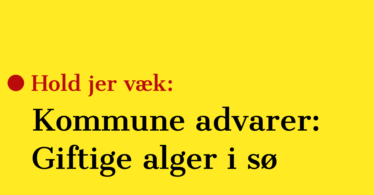 Kommune advarer: Giftige alger i sø - Hold jer væk