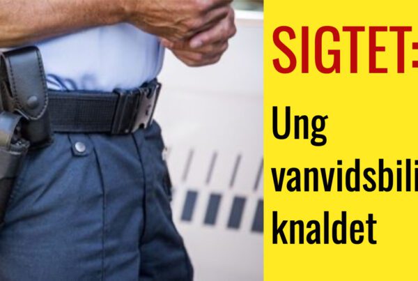 Ung vanvidsbilist knaldet