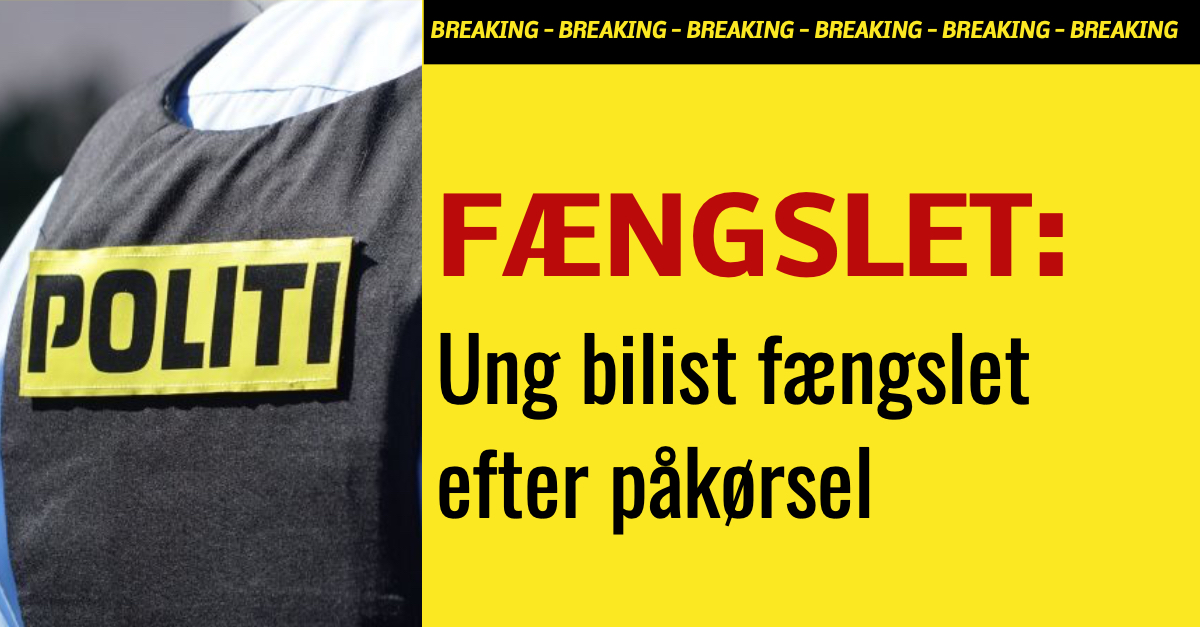 Ung bilist fængslet efter påkørsel