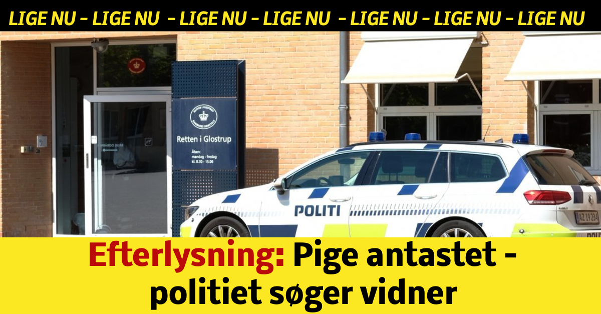 Efterlysning: Pige antastet – politiet søger vidner