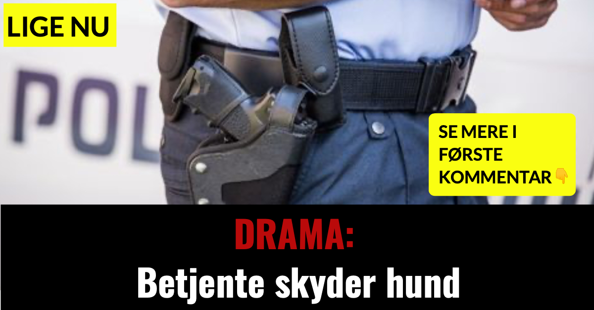 DRAMA: Betjente skyder hund