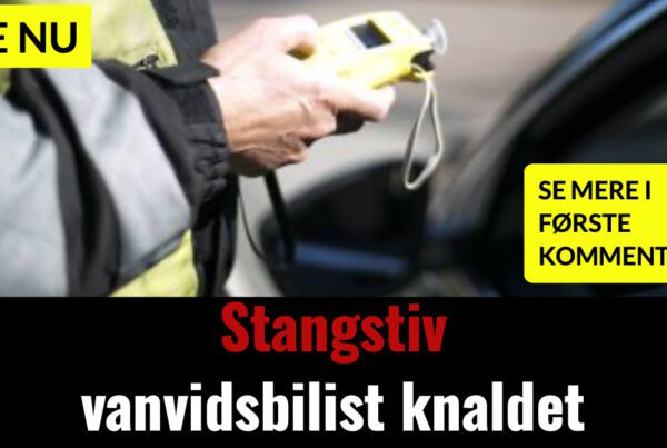 Stangstiv vanvidsbilist knaldet