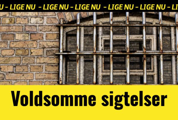 Uhyggelige sigtelser: Mand fængslet