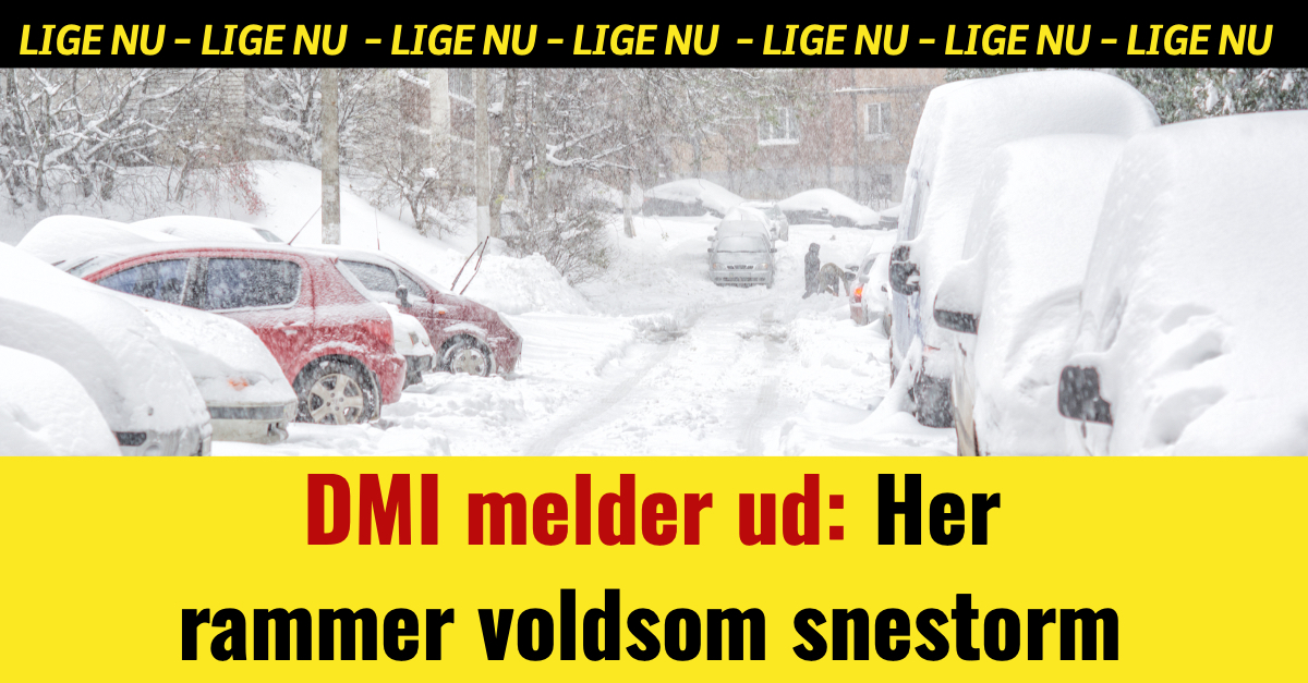 DMI melder ud: Her rammer voldsom snestorm