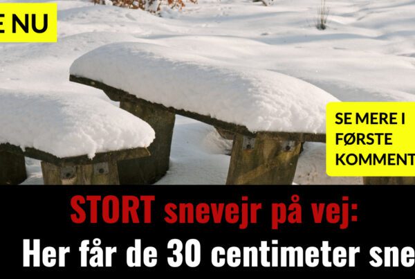 STORT snevejr på vej: Her får de 30 centimeter sne